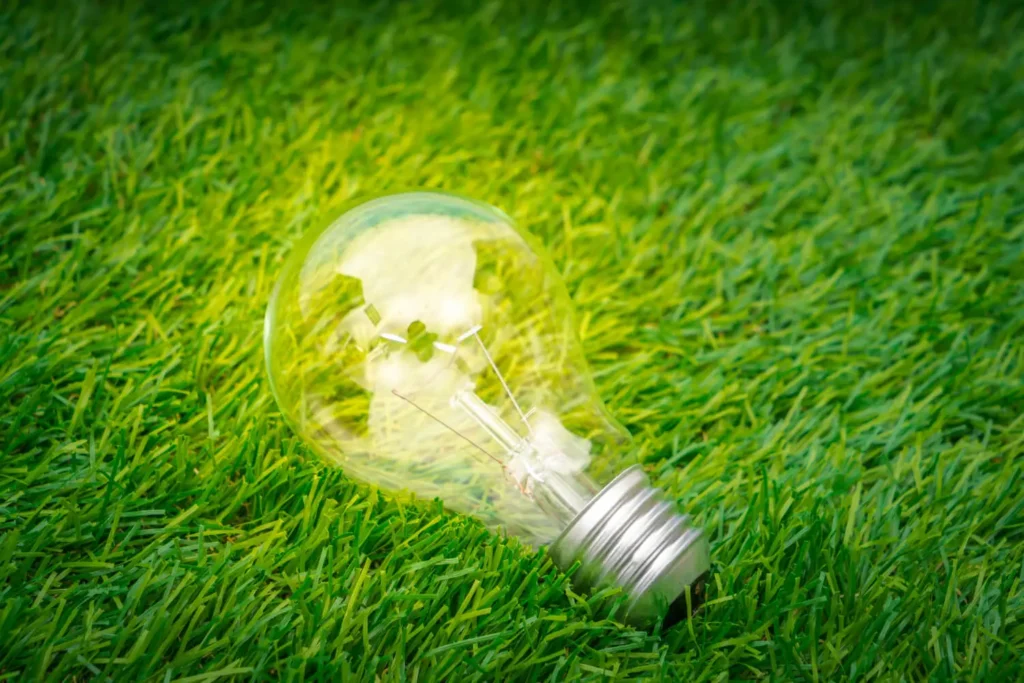 eco concept light bulb grow grass